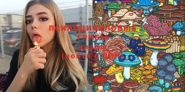 ГАЛЛЮЦИНОГЕННЫЕ ГРИБЫ Бикин