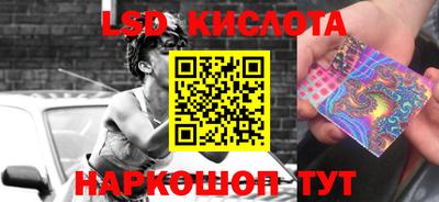 прущие грибы Гатчина