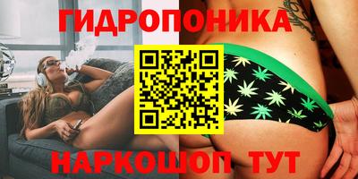 прущие грибы Гатчина