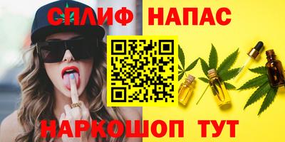 a pvp Гагарин