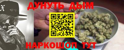 прущие грибы Гатчина