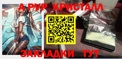 прущие грибы Гатчина
